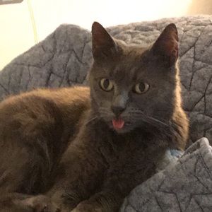 Meet your Posher, Luis